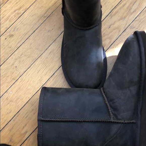 Brown UGGs - brand new - Picture 5 of 7